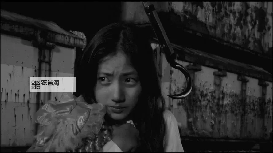 【精选推荐】最好的中文字幕视频,让你轻松追剧无障碍图1