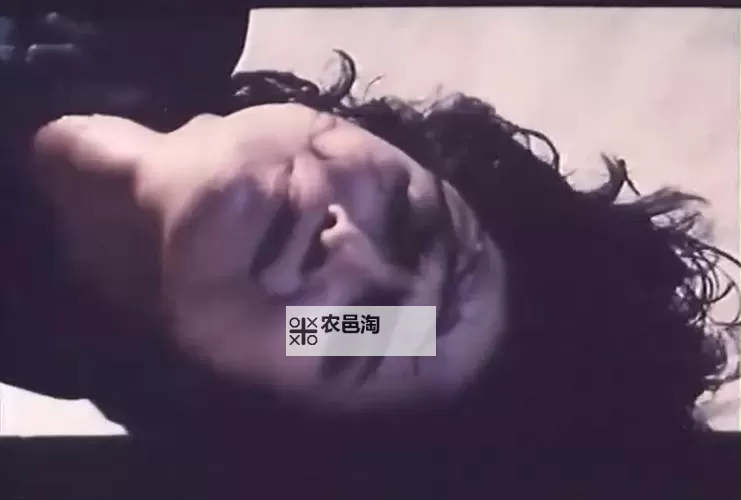 探索yy4480伦理免费资源：提升观影体验的最佳选择图1