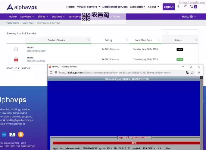 中国精品V8VPSWINDOWS入口:优质安全的虚拟主机选择指南图1