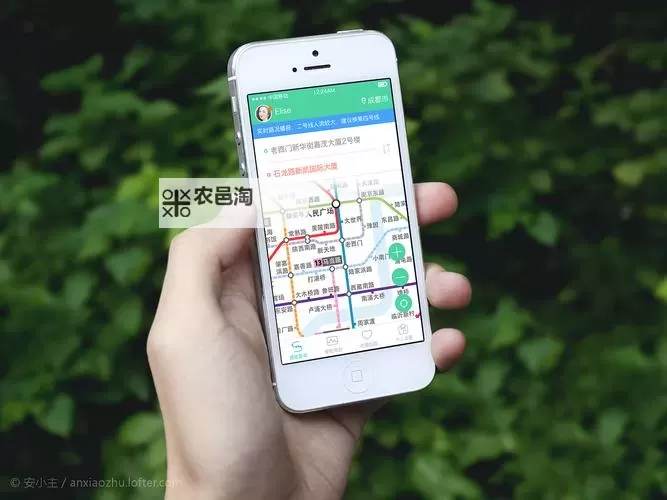 免费在线观看：服老导航带你轻松体验精彩内容图1