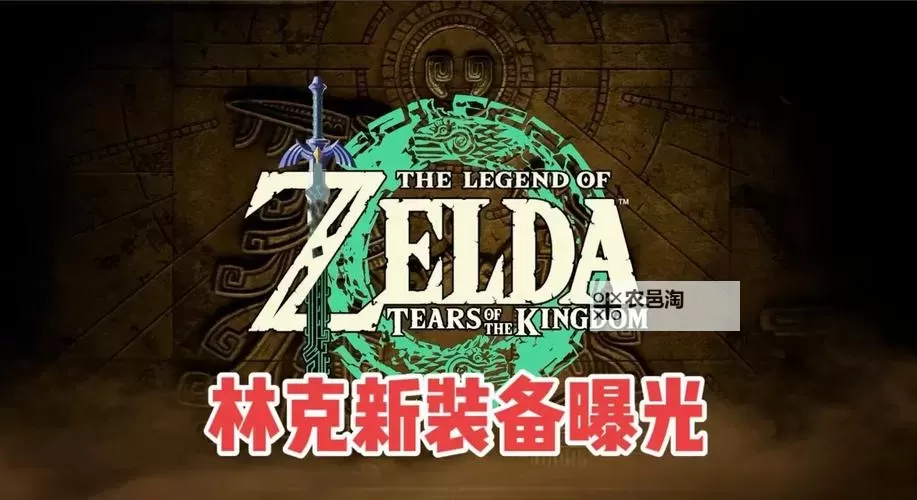 《塞尔达传说王国之泪》海拉鲁城堡装备收集领跑图1