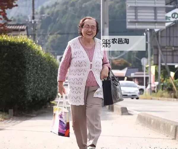 日本肥胖老太太的BBWW：独特魅力与生活故事图1