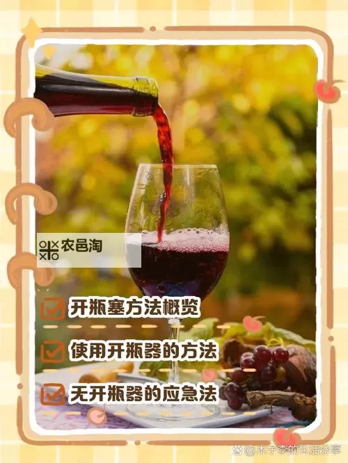 用红酒瓶塞堵住不能留下来:意外之中的巧妙解决方案图1