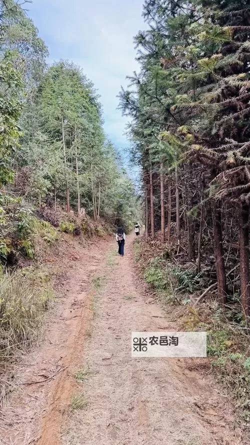 探索最新内容：cn.666成人视频为您带来极致娱乐体验图1