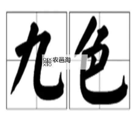 九色91porny蝌蚪：探索多彩世界的奇幻体验图1