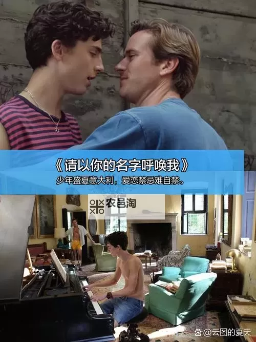 探索多元文化：全面解析同性影院网的现状与发展图1