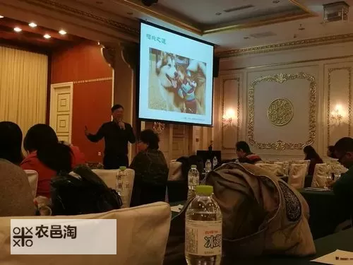 中国梦想秀冯辉圆梦:坚持不懈成就人生新篇章图1