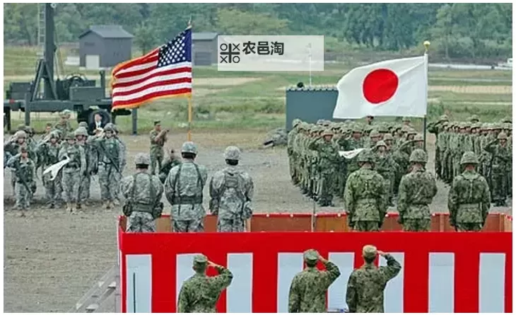 美国十次亚洲入口:背后的战略布局与影响分析图2