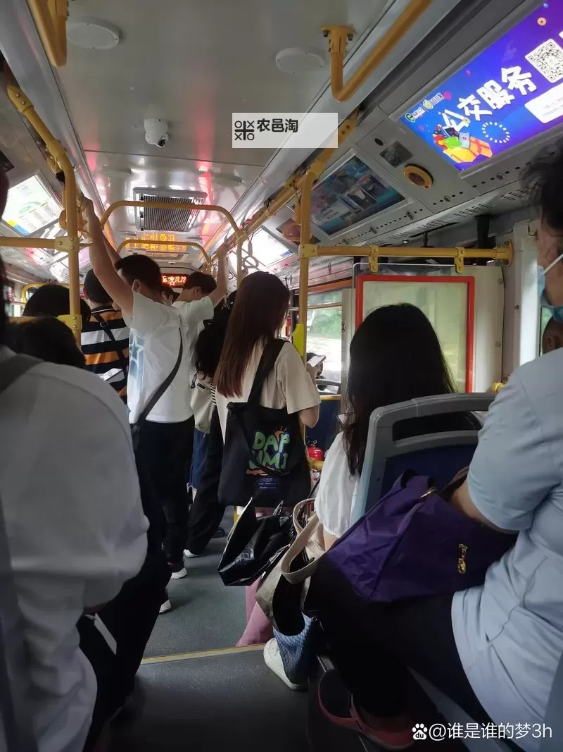 坐公交车一晃一晃的怎么回事?原因分析与解决方法图1