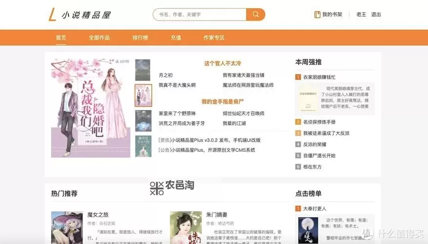 成品小说网站入口网页版怎样打开？详细操作指南解析图1