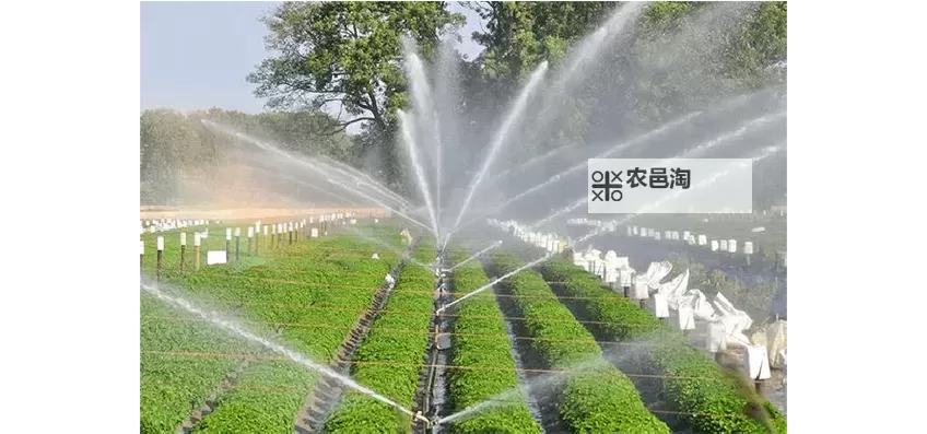 提升农田产能:优质RB灌溉系统助力高效农业发展图1