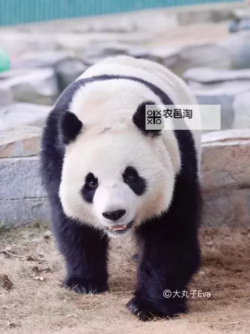 《狙击精英抵抗》第八关收集地图分享 第八关物品位置一览图1