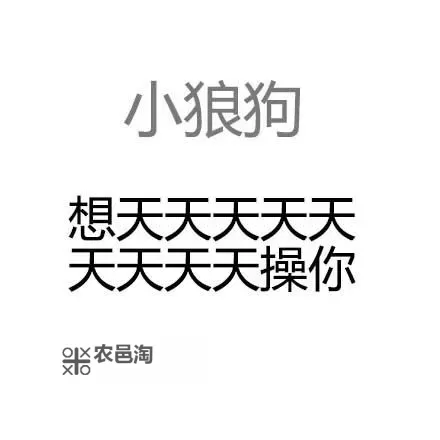 探索心境变迁:关于“天天躁天天日”的深层解析图1