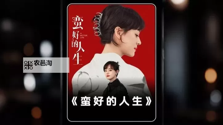 《蛮好人生1-42集免费在线观看【完整版】免费播放在线观看】图1