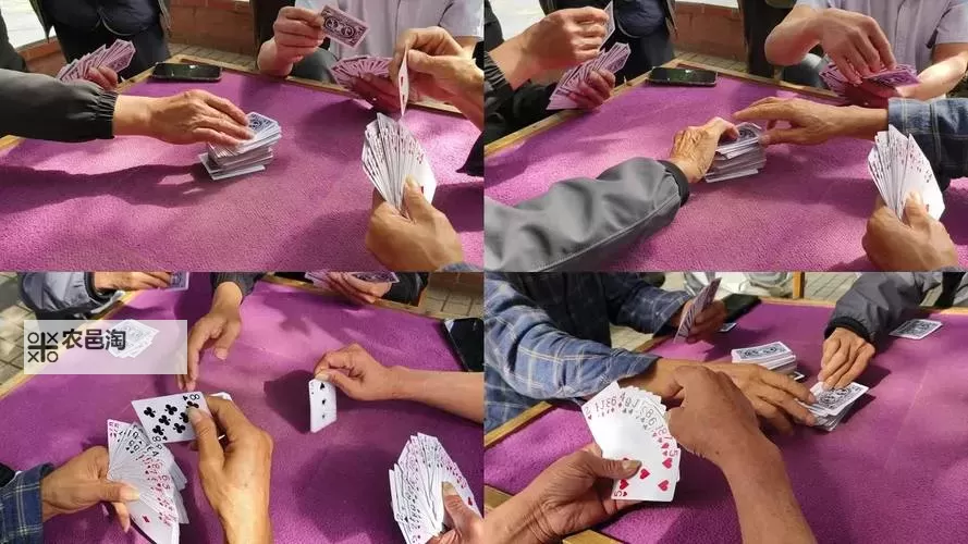 精彩推荐:免费在线观看打扑克视频免费,轻松娱乐无限乐趣图1