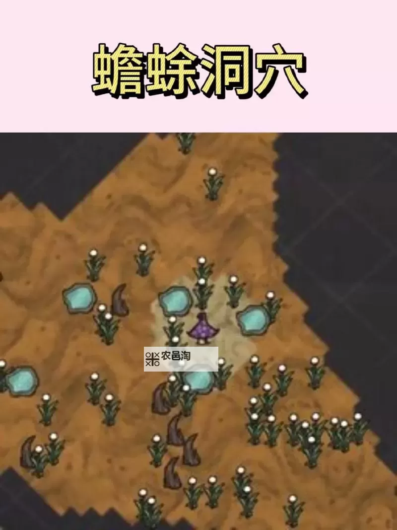 《饥荒》联机版地下技巧及特性攻略说明 联机版洞穴技巧及特性攻略图1