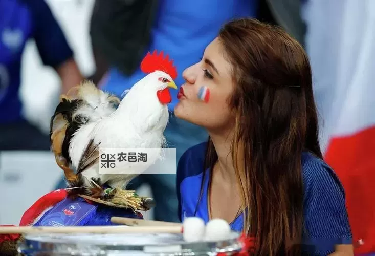 中国会阻止人口黑化吗:未来发展能否逆转人口负面趋势图1