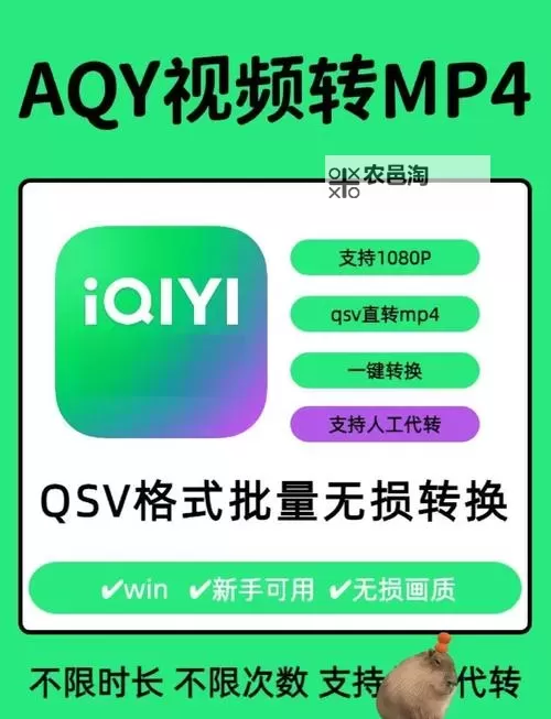 怎样安装成人播放器的详细步骤指南图2