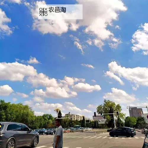 探索精彩内容尽在洲人亚色网——您的优质娱乐平台推荐图1