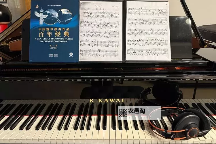 探索中国钢琴网:钢琴爱好者的精彩世界图1