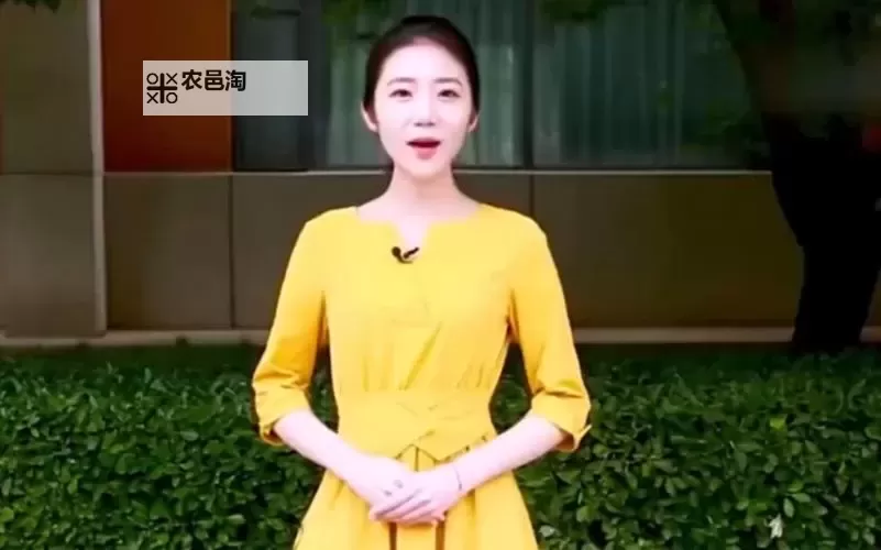 张津瑜视频带你领略夸克世界的奥秘图1