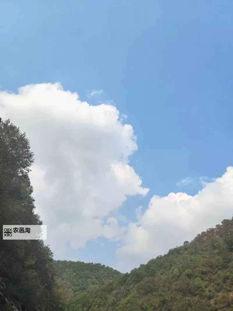 《庄园领主》新手入门教程图2