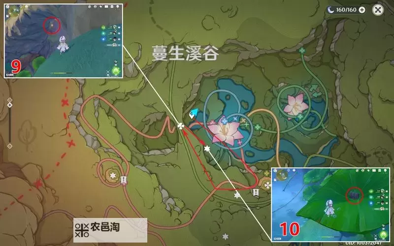 《原神》3.8版蔓生溪谷礼卷收集教程图1