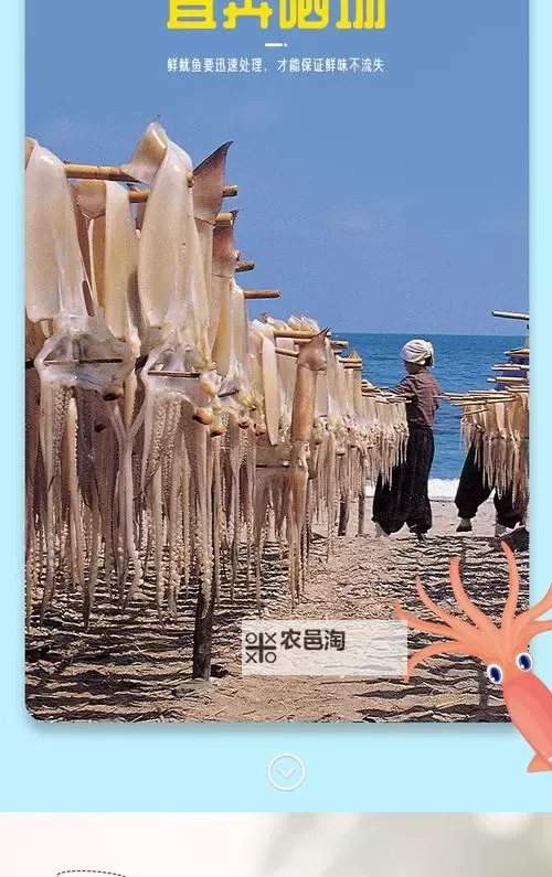 鱿鱼网进入官网by1192：权威入口全指南图1