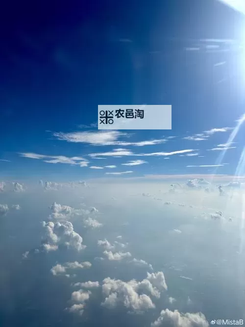 《庄园领主》新手入门教程图1