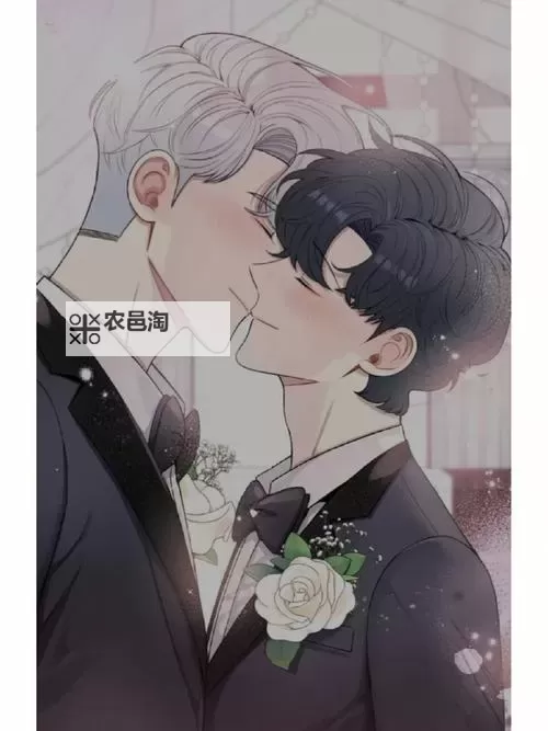 冬日之后的樱花漫画:绽放的希望与新生的故事图1