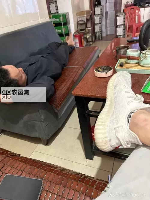 真实的单亲乱:家庭裂变背后的故事与反思图1