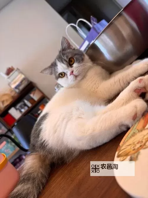 自己对着它坐下来：静谧中的对话与思索图1