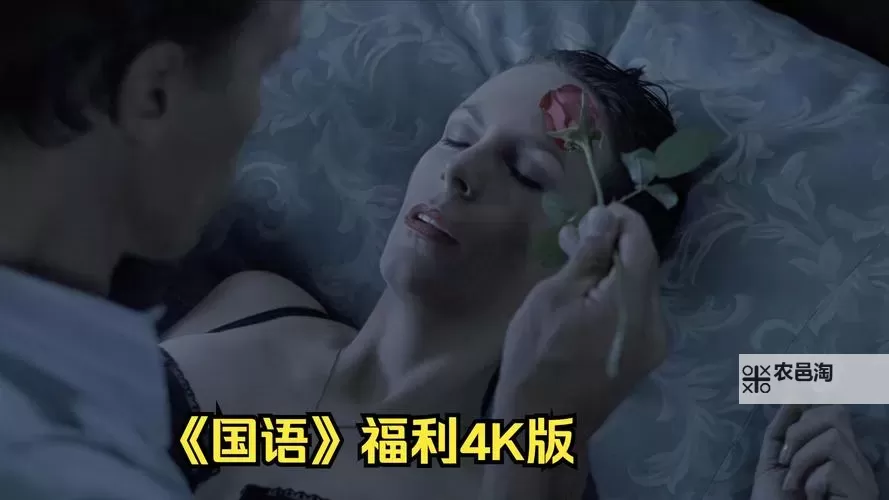 2024年最新推荐:最好看的中文字幕国语2019经典影视作品大全图1