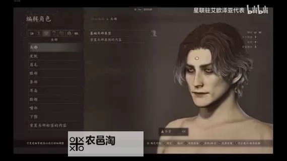 《龙之信条2》FF14爱梅特赛尔克捏脸数据分享图1