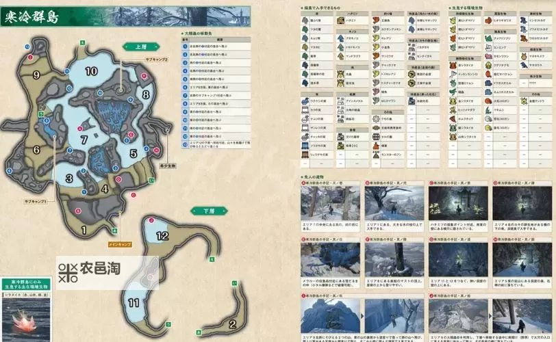 《怪物猎人荒野》老旧龙雕币地图点位及速刷方法 老旧龙雕币怎么获得图1