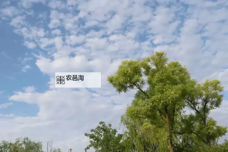 怎么双开777战记？ 777战记双开挂机图文全攻略图1