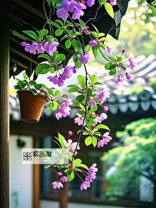 《雾锁王国》紫色单手剑冰祸获取教程 雾锁王国冰祸在哪图1