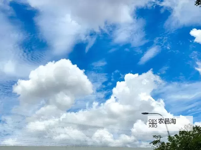 《庄园领主》新手入门教程图2