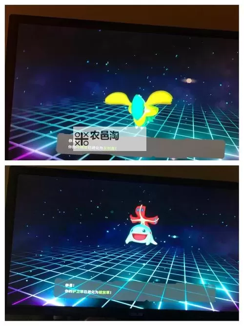 《Temtem》腾兽孵化教学 怎么孵蛋图1