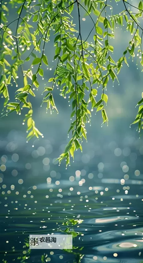 99r免费视频观看：在光影深处寻找真实的自己图2