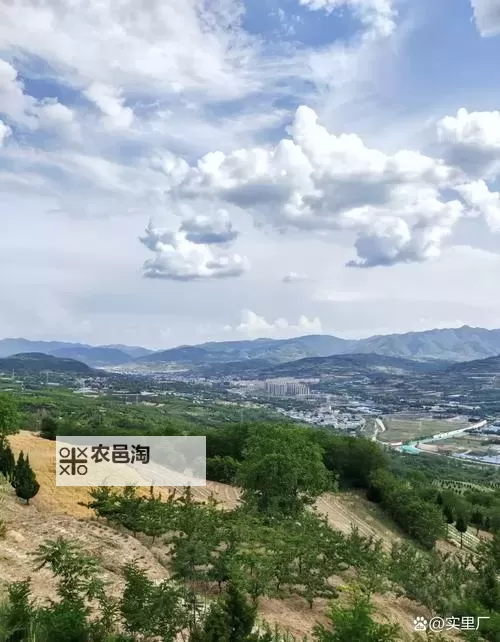 再往里面点啊对就是这里：一段关于好奇心与边界的旅程图1