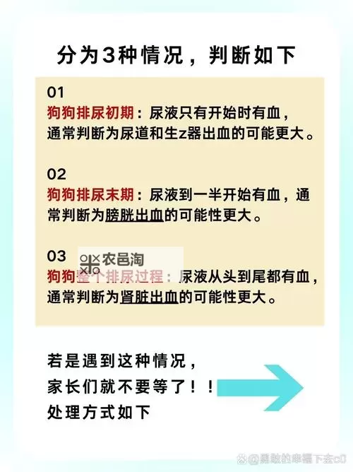 极端规矩：主人规定一天只能尿一次图1