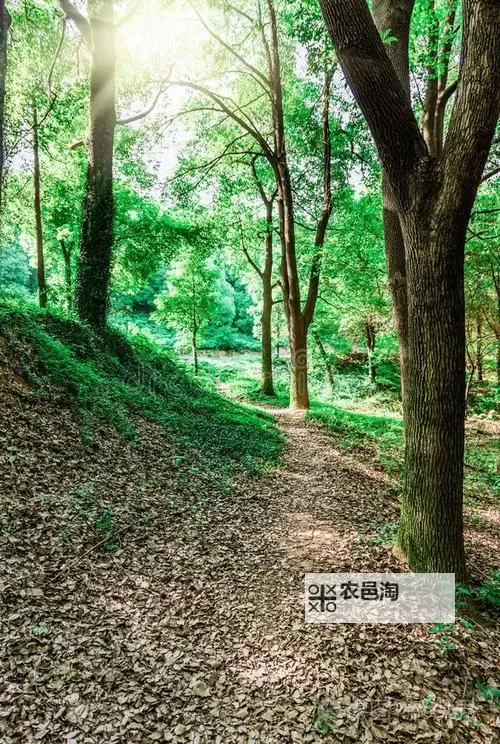 《暗黑破坏神4》新手开荒教程 暗黑破坏神4怎么玩图1