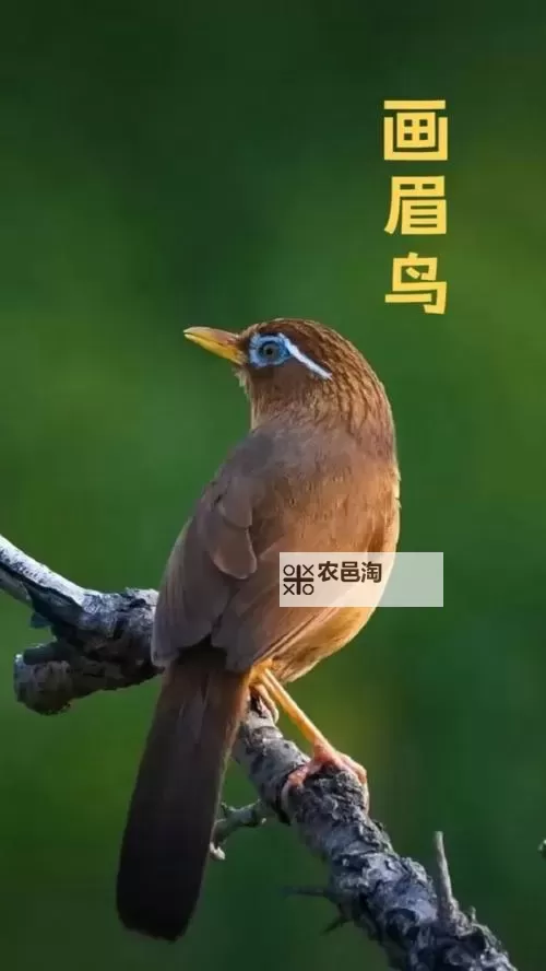 《潜行者2切尔诺贝利之心》PTM扩容弹匣获取攻略 PTM扩容弹匣怎么获得图1