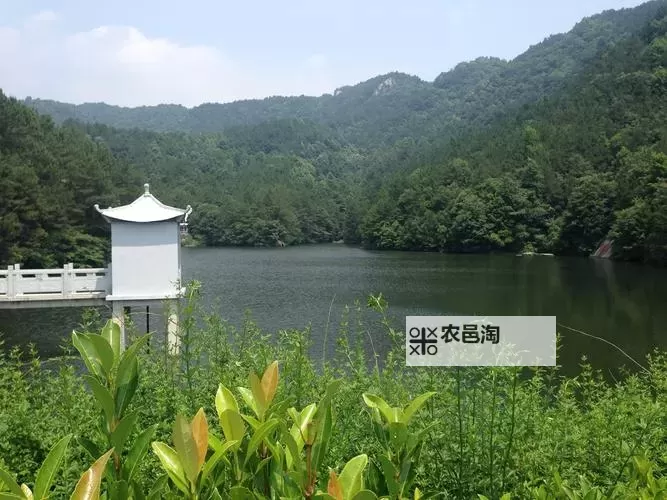 免费圣域传奇礼包 圣域传奇礼包在线领图1