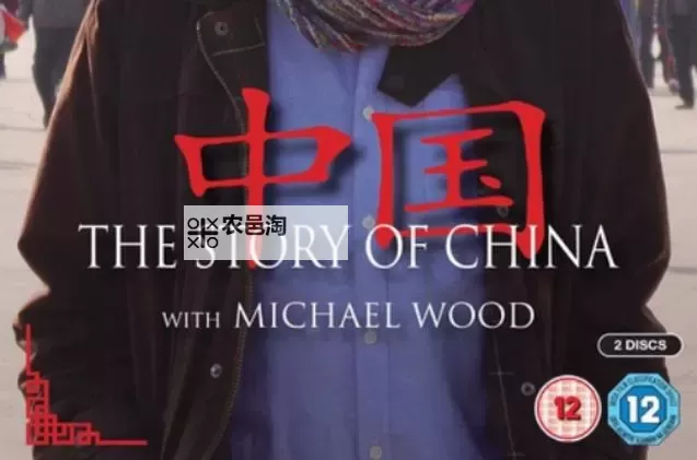 从新星到网路传奇:chinesevidboy1069 的成长笔记图1