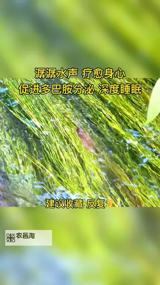 夜幕下的做的时候粘腻的水声：记忆在潮湿的声波里回响图1