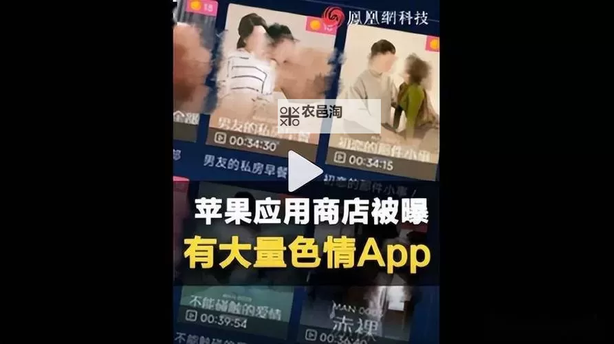 色拉拉网站的晨光:在信息海洋中寻找温柔的角落图1