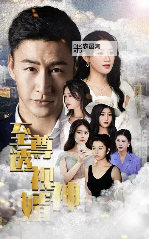 至尊天师女婿：从凡尘归来的道心传人图1