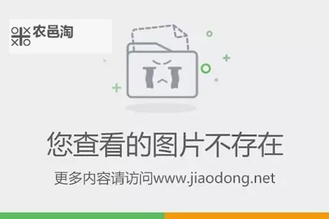 caoliu66888:互联网社区的兴衰与用户隐私的对话图1